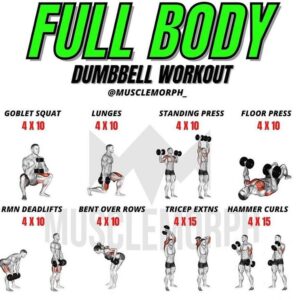 Fully Body Workout Bundle
